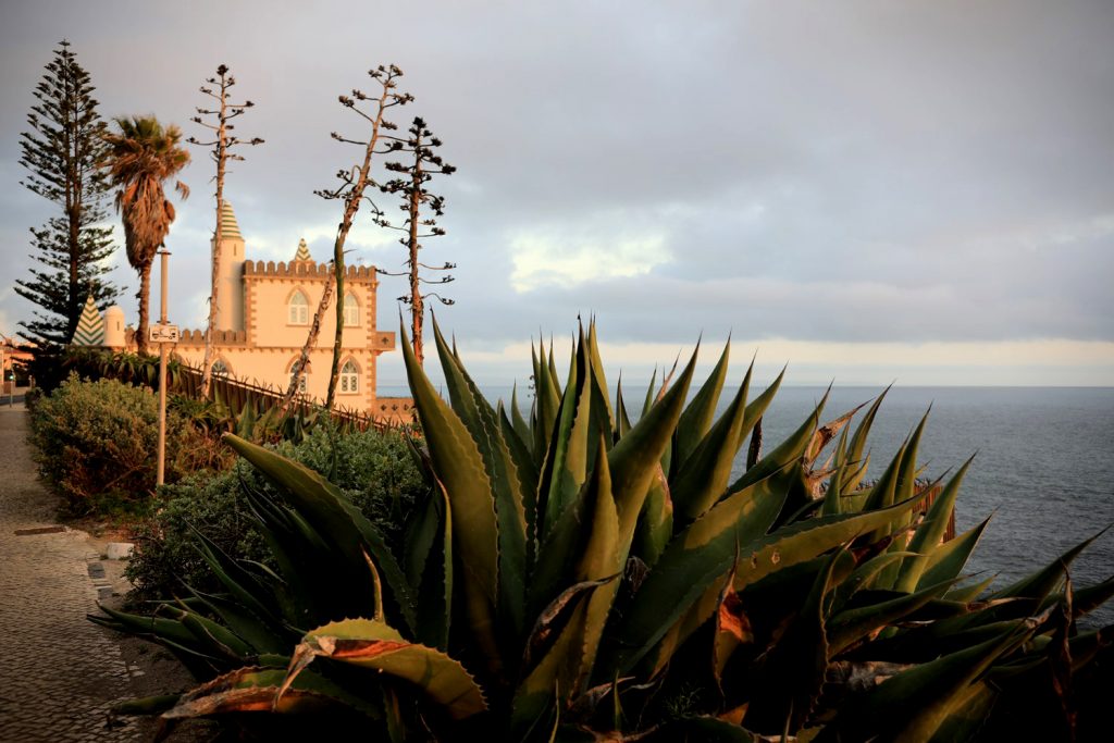 View Monte Estoril