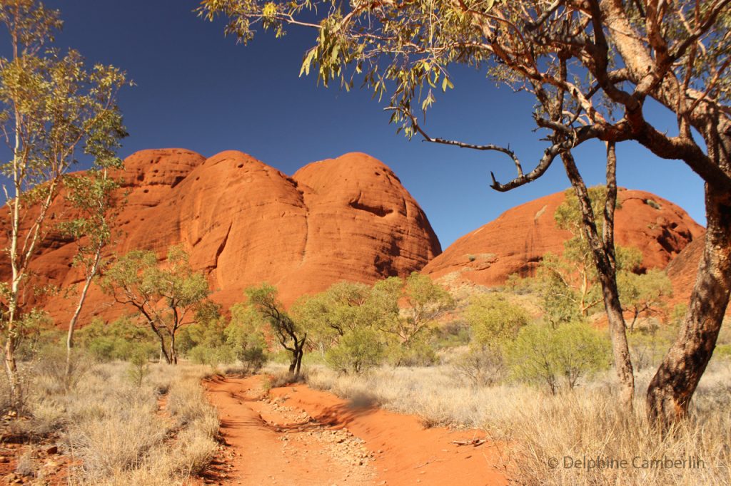 Australia Ayers Rocks