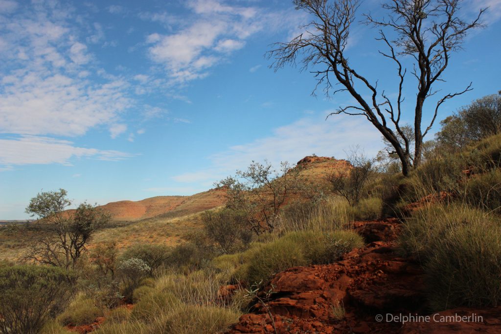 Australia Outback