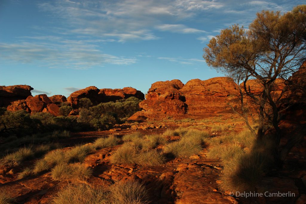 Australian Outback King Canyon