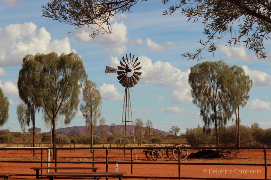 Farm in Outback