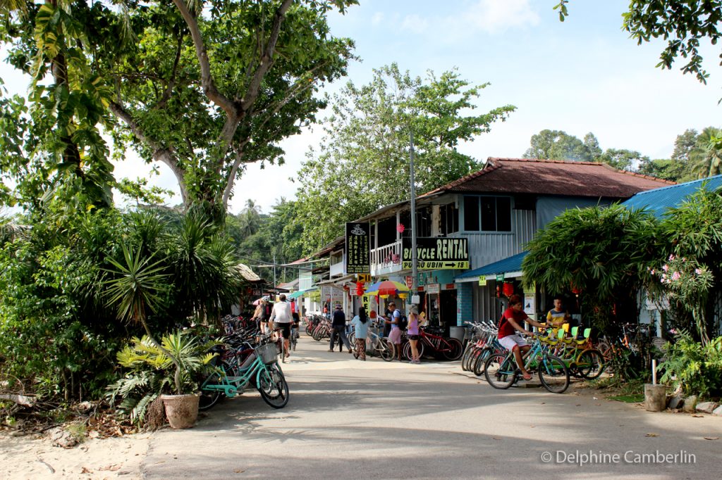 Bike Rental Palau Ubin