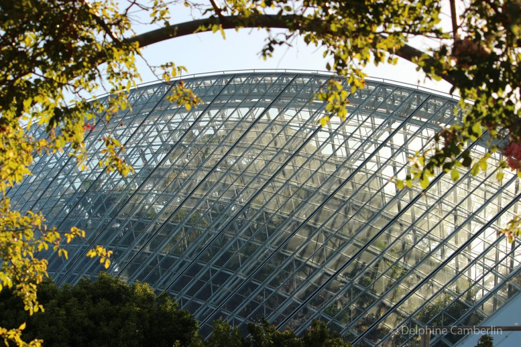 Botanic Garden Adelaide