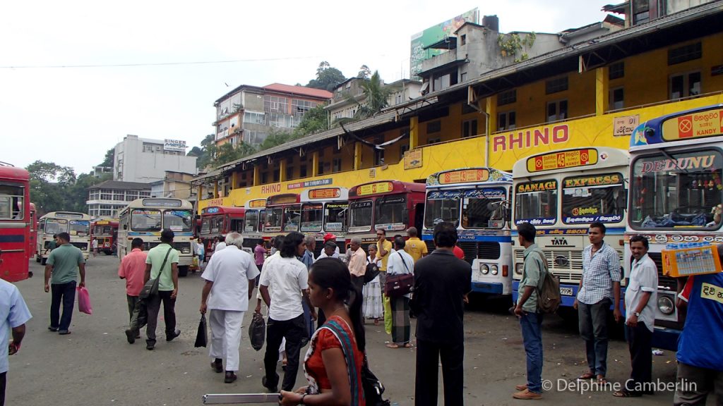 Bus Stop Sri Lanka