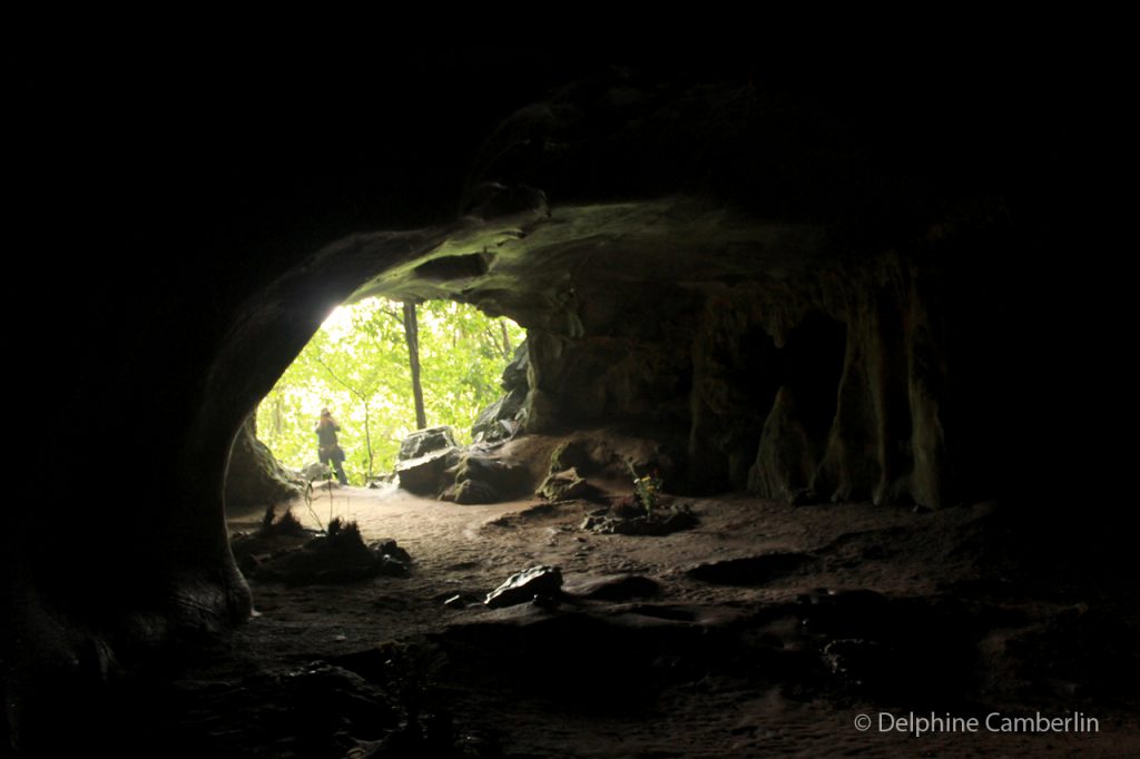 Caves Ninh Binh