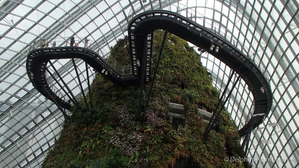 Cloud Forest Marina Bay Singapore