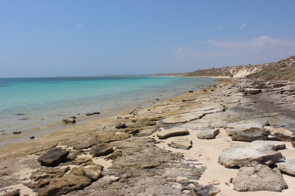 Coral Bay Rocky Beach