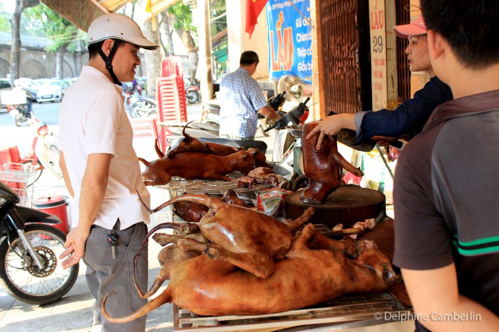 Dog Food Booth