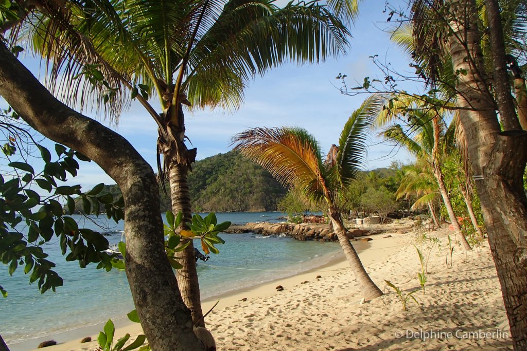 Fiji Beach