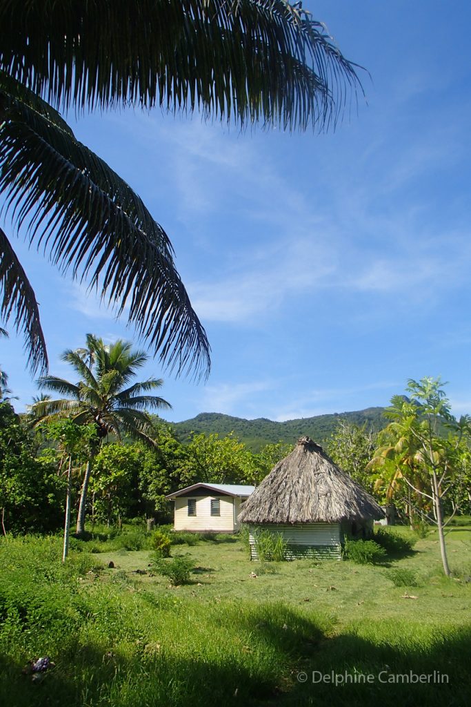 Hut in Fiji Village