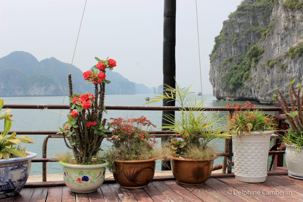 Flowers on Boat Halong Bay