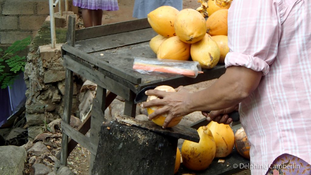 Fresh Coconut Cut