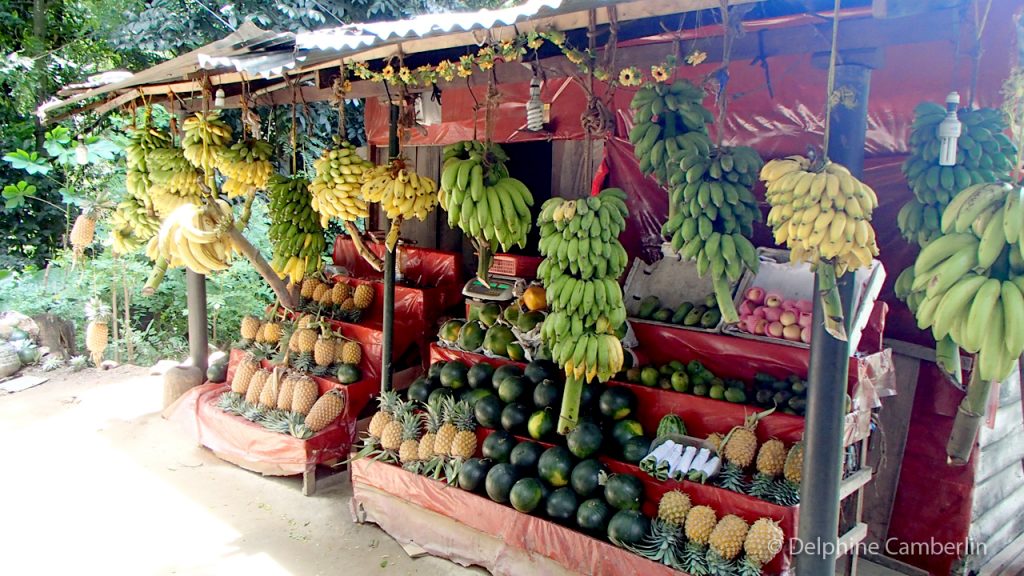 Fruit Booth Kandy