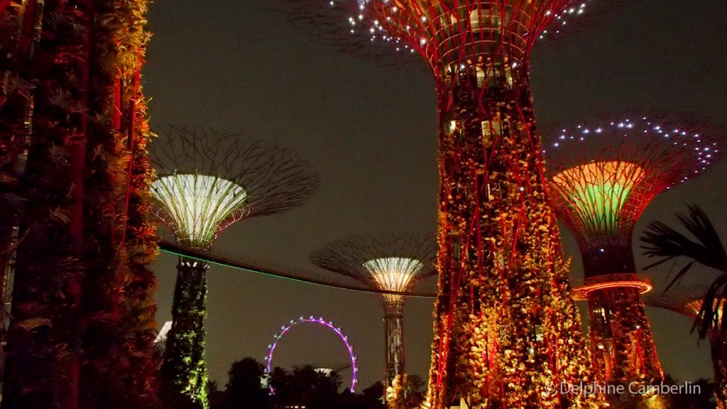 Garden by the bay by night