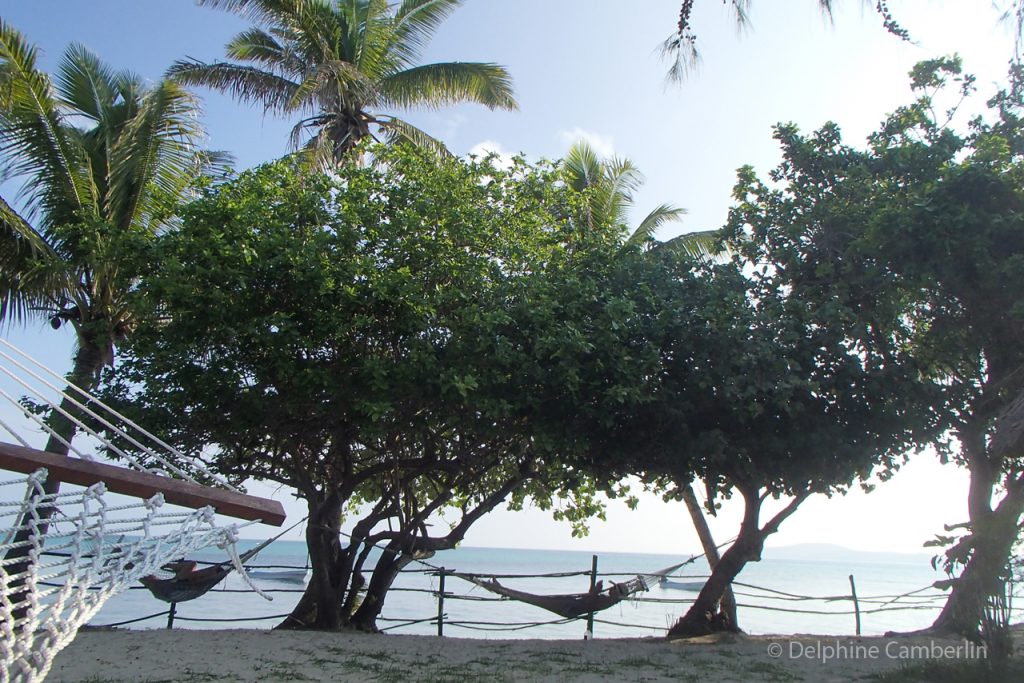 Hammock in Fiji