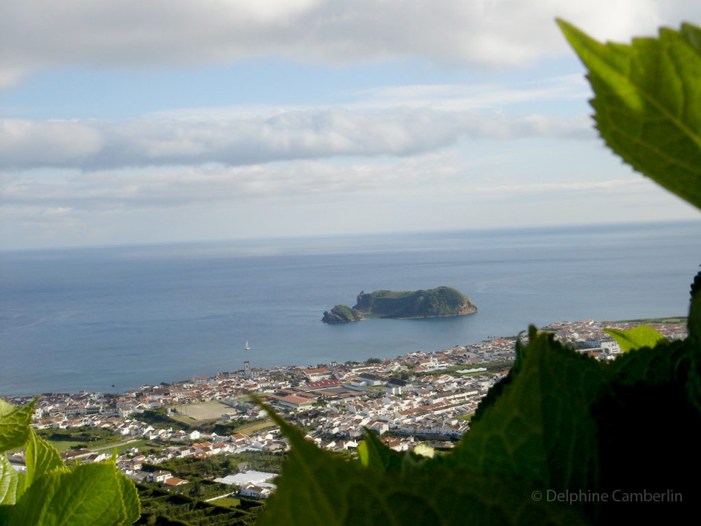 Ilheu de Vila Franca Azores