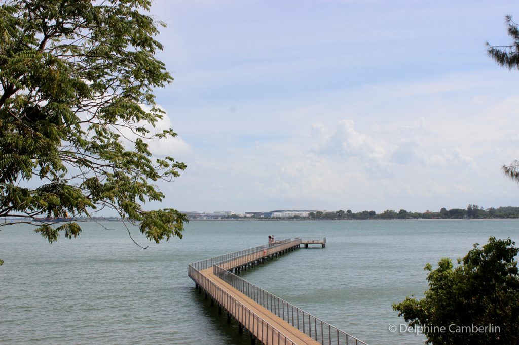 Jetty Palau Ubin