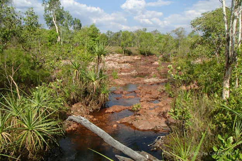 Kakadu National Park