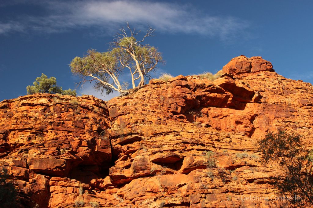 Kata Tjuta National Park