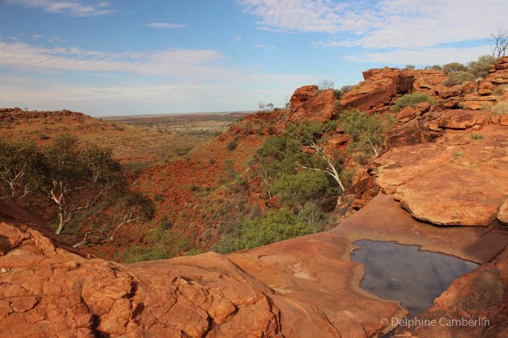 King Canyion Cliff View