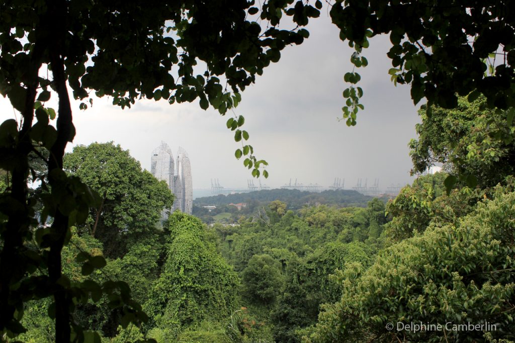 Mount Faber - Singapore