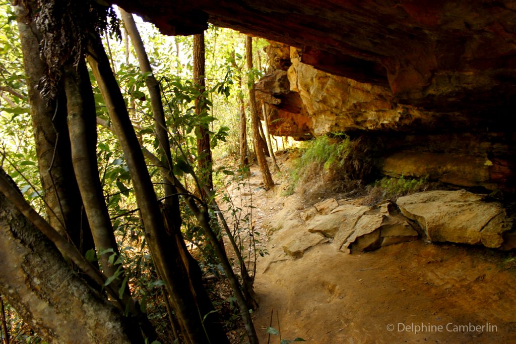 Mount Kuring National Park NSW Australia