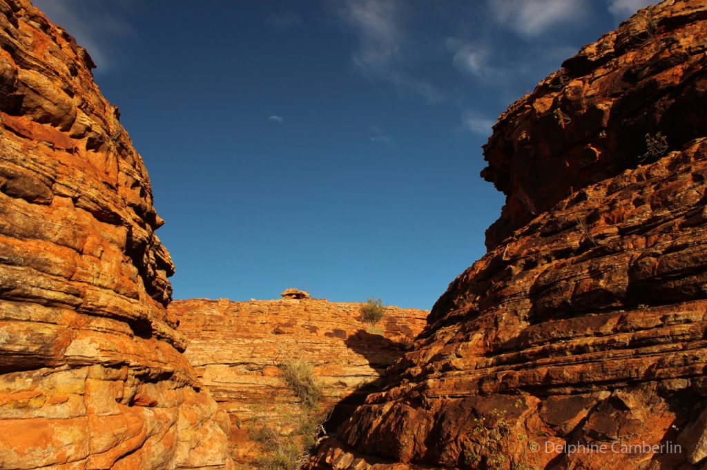 Outback Australia