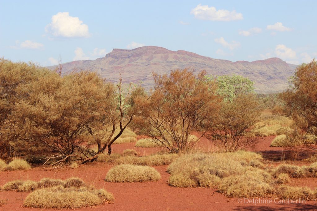 Outback Australia