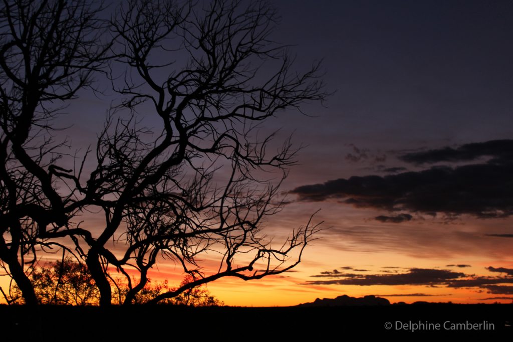 Outback Sunset