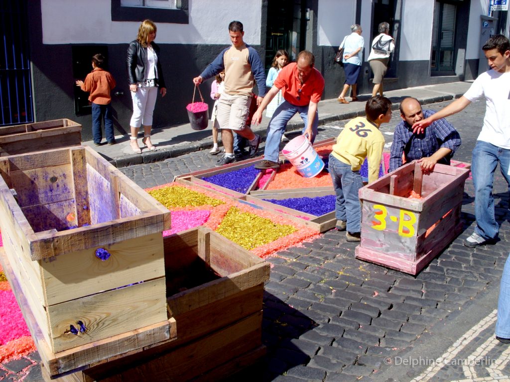 Preparando carpete de flores