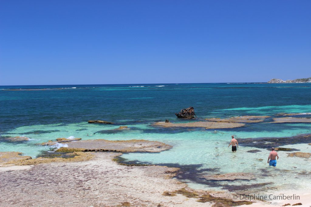 Rottnest Island Coral View