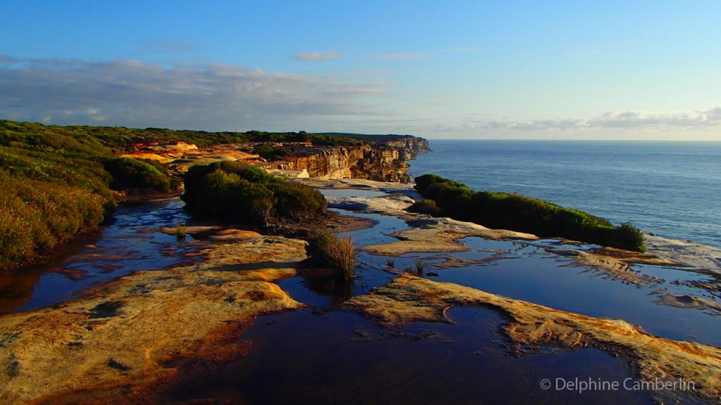 Royal National Park Sydney