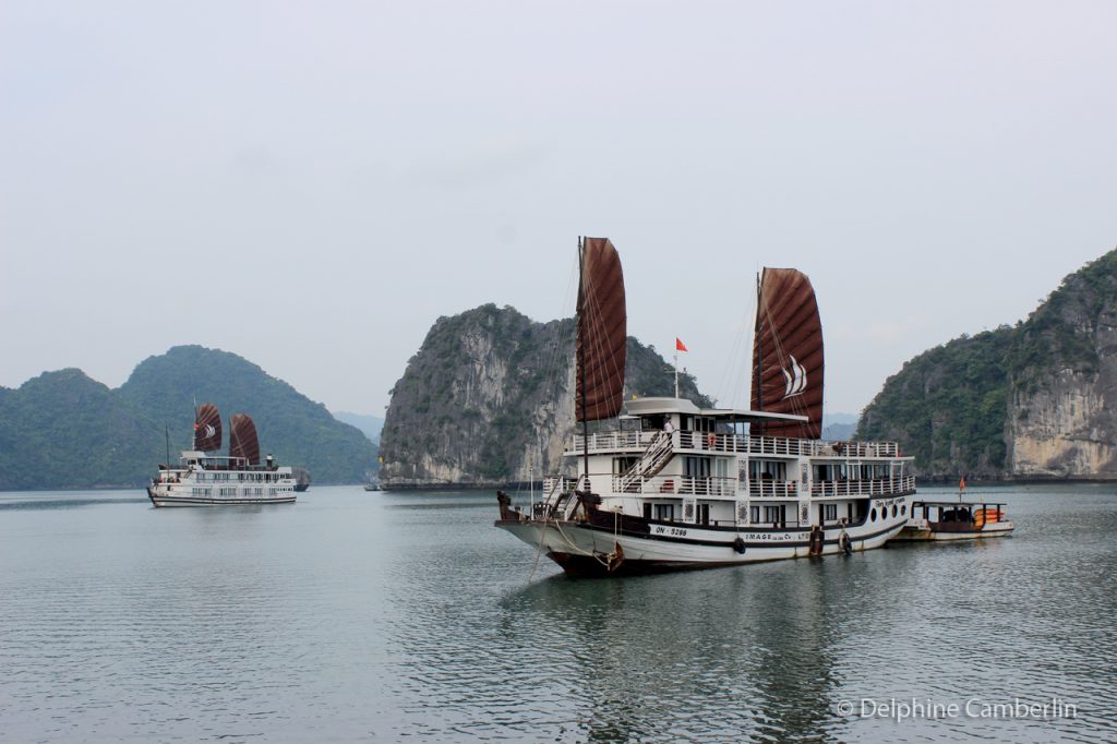 Sail Boat Halong Bay