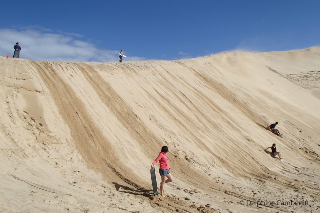 Sand Boarding Port Stephens Australia