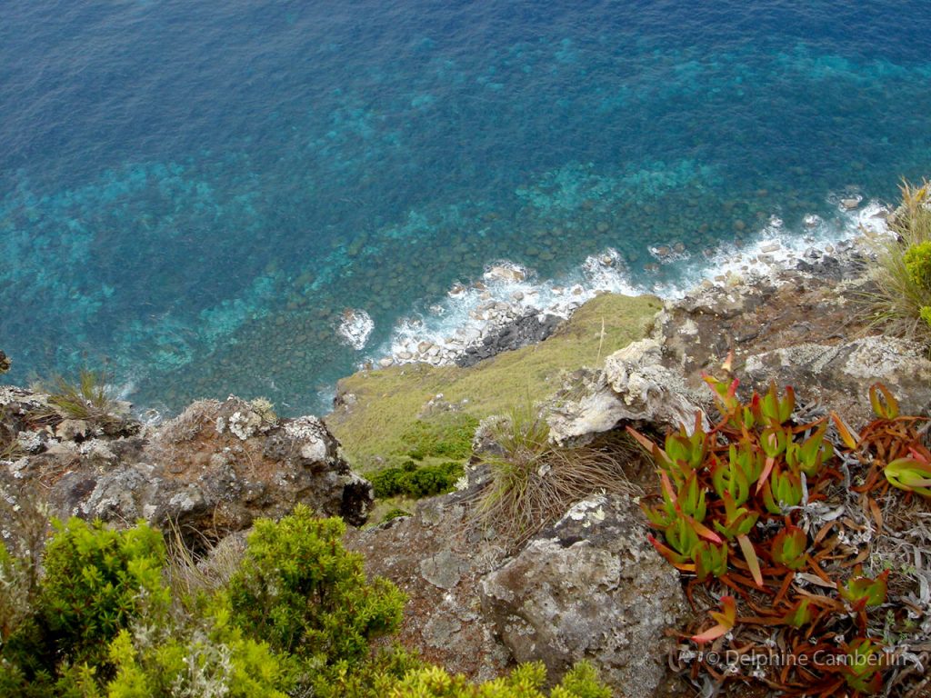 Sao Jorge Sea View from Summit