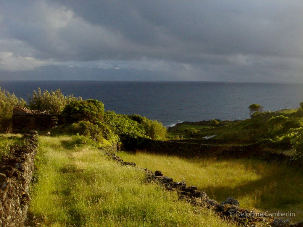 Small Field Sao Jorge