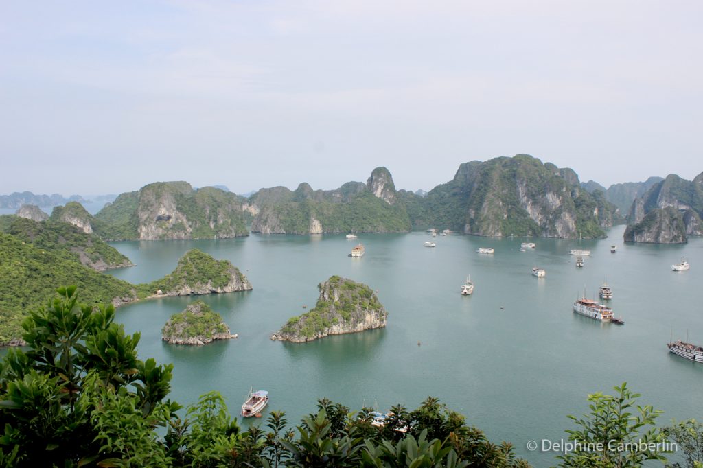 Small Islands Halong Bay