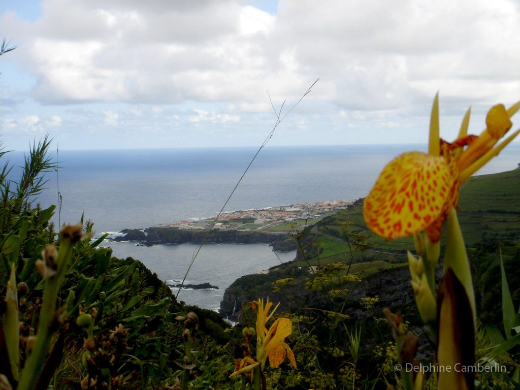 Summit View on Flores