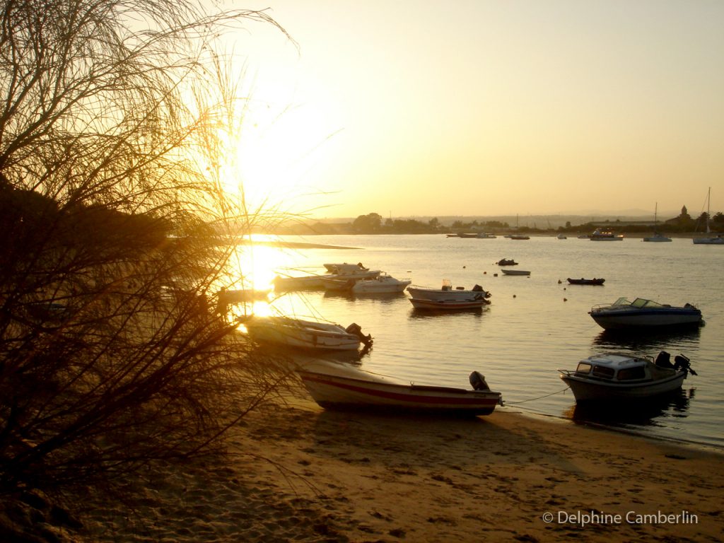 Sunset Algarve