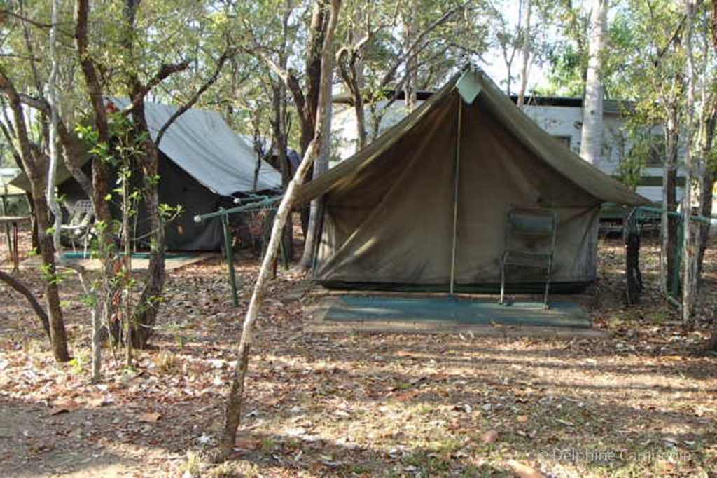 Tent Litchfield Park