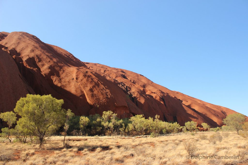 Uluru Ayers Rocks