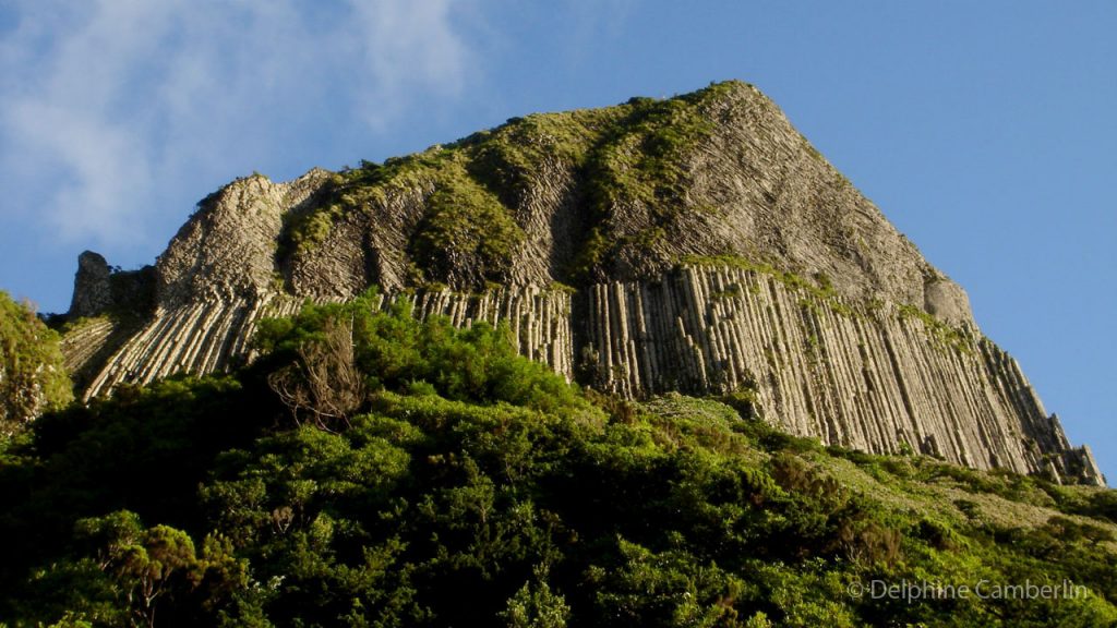 Vertical Stripes Rock Flores Azores