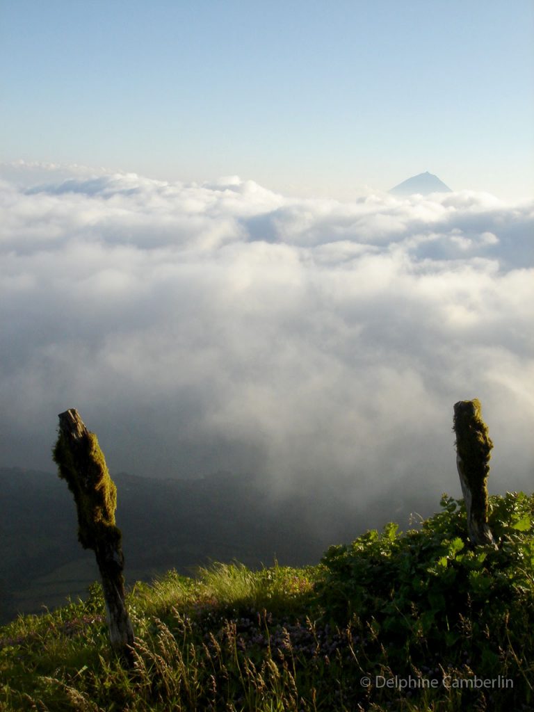 Vista Pico desde Sao Jorge