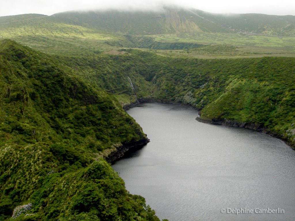 Volcano Flores