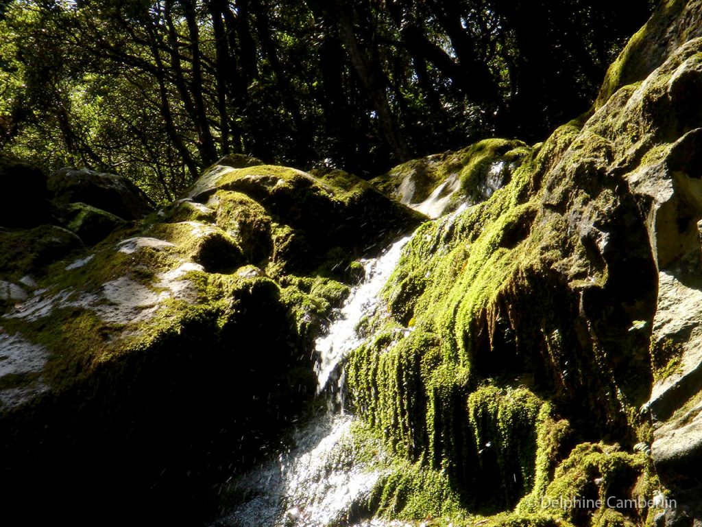 Waterfall Sao Jorge