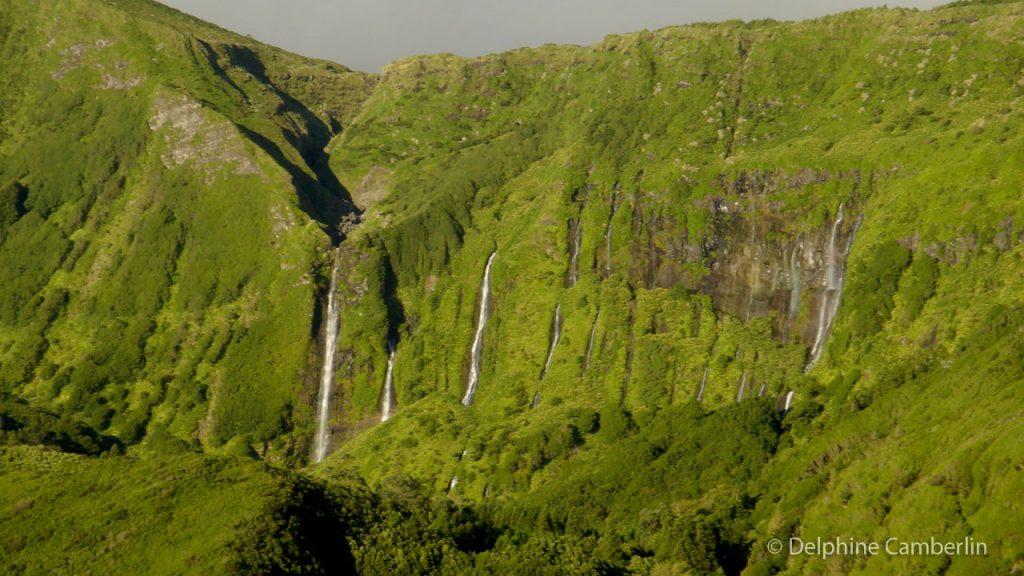 Waterfalls Flores