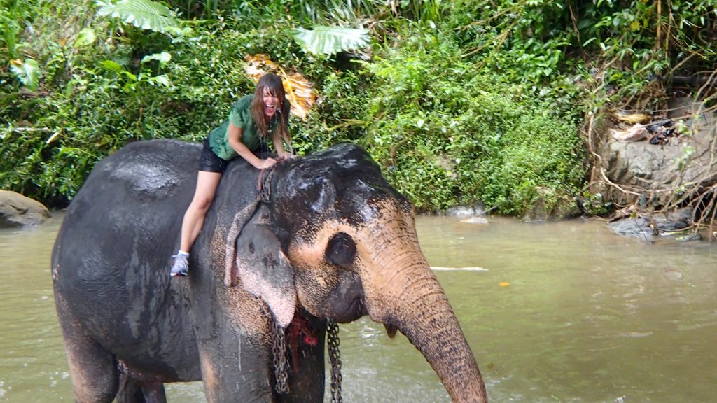 Woman on elephant back in Sri Lanka