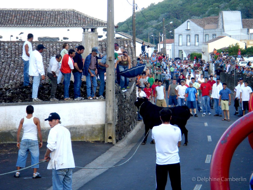 Corrida de Toros na rua