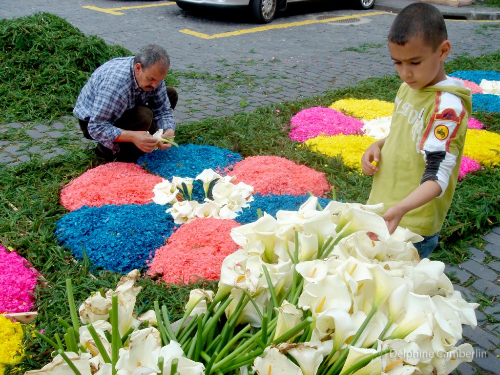 Fazendo carpetes de Flores