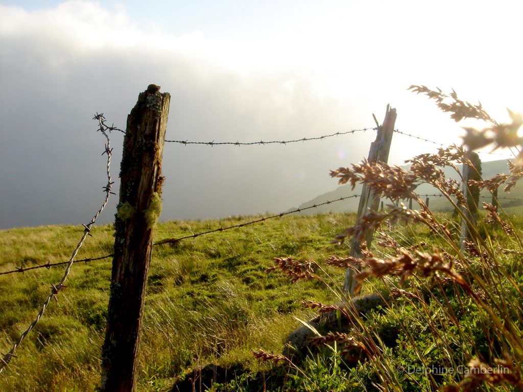 Fence Field Sao Jorge